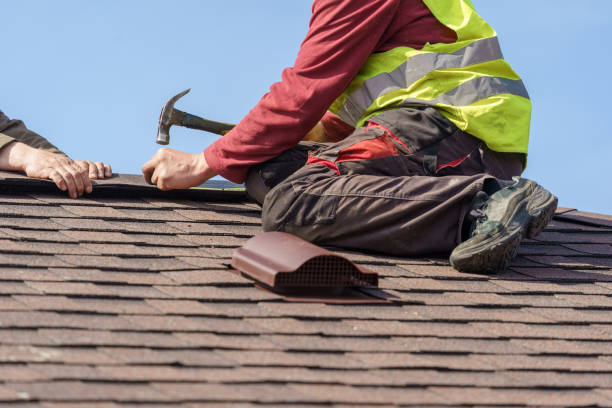 Best Roof Restoration Services  in Dland, MI