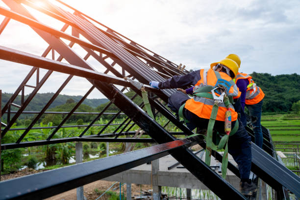 Best Metal Roofing Contractor  in Dland, MI