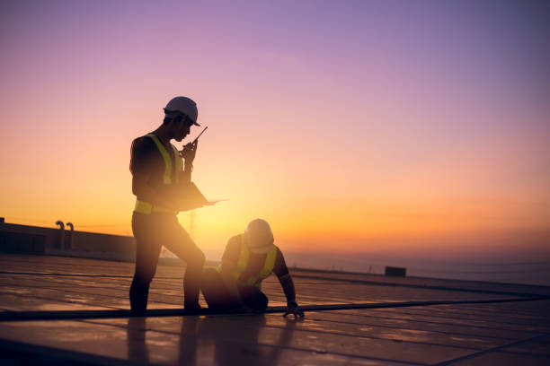 Best Storm Damage Roof Repair  in Dland, MI