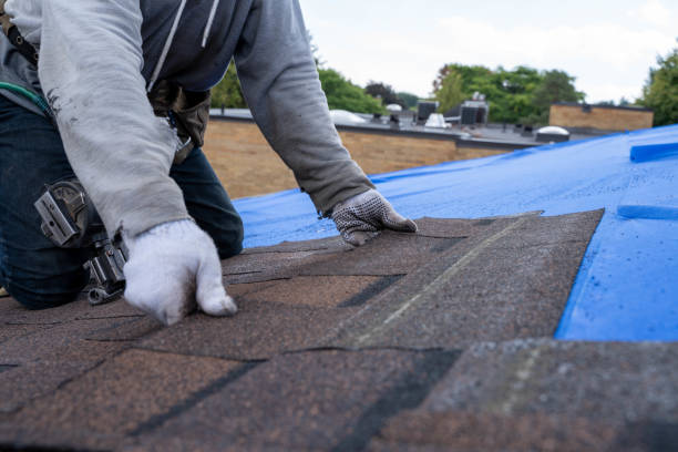 Best Residential Roofing Contractor  in Dland, MI