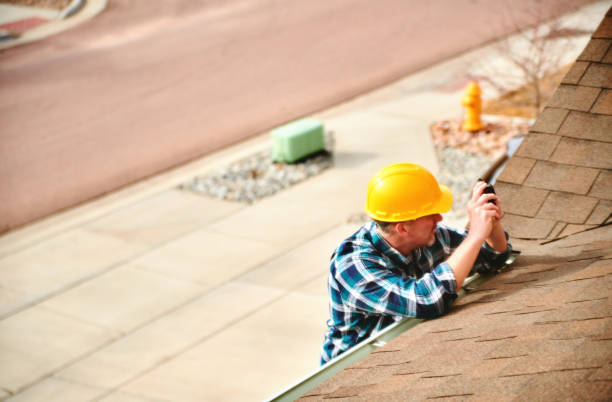 Best New Roof Installation  in Dland, MI