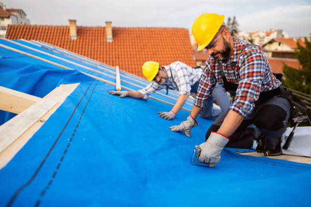 Best Commercial Roofing Services  in Dland, MI