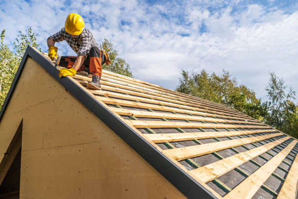 Best Roof Gutter Cleaning  in Dland, MI