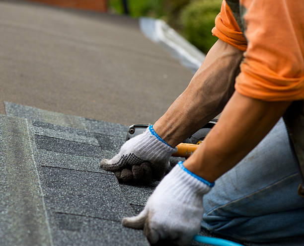 Best Tile Roofing Contractor  in Dland, MI