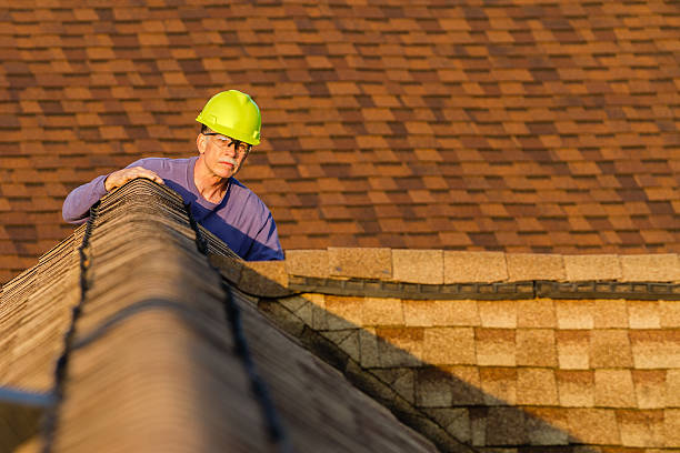 Best Roof Leak Repair  in Dland, MI