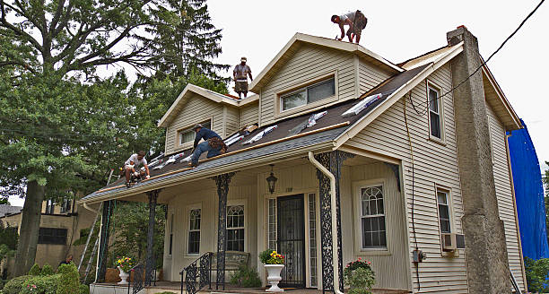Best New Roof Installation  in Dland, MI