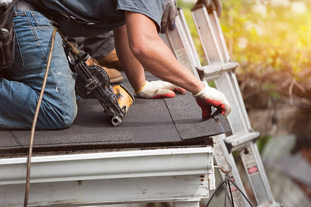 Best Local Roofing Companies  in Dland, MI