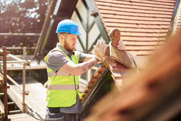 Best Best Roofing Contractors  in Dland, MI